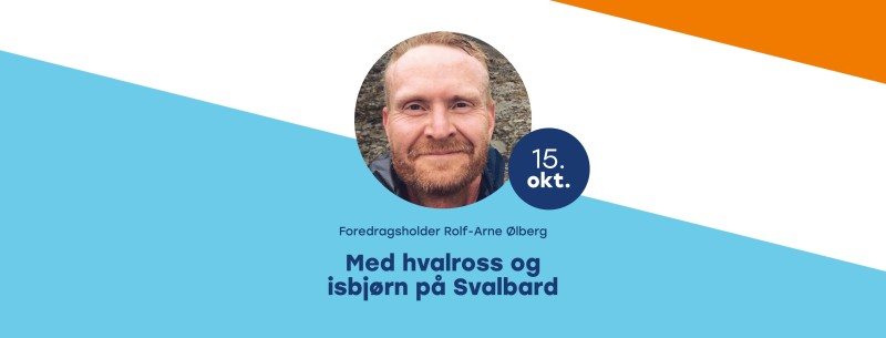 Bilde til saken Med hvalross og isbjørn på Svalbard