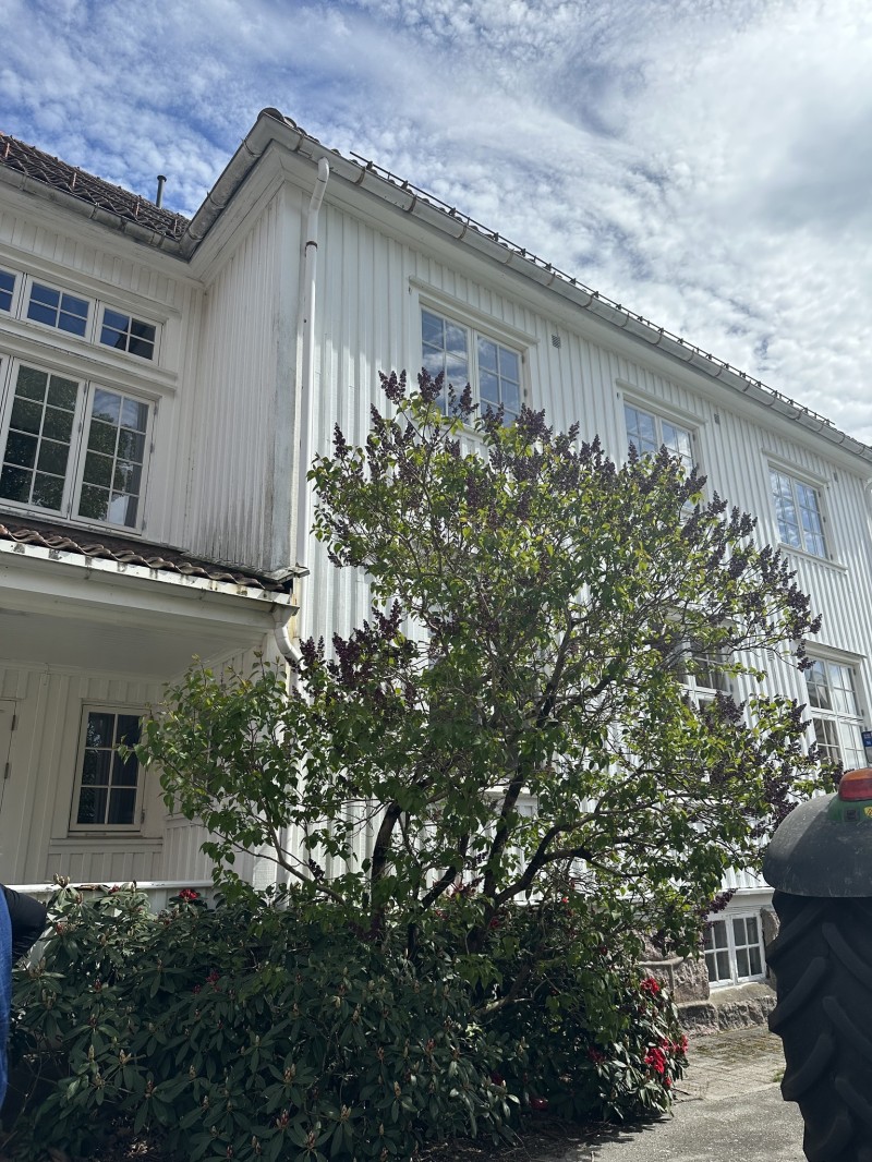 Bilde til saken Omvisning og befaring i Husmorbygget 