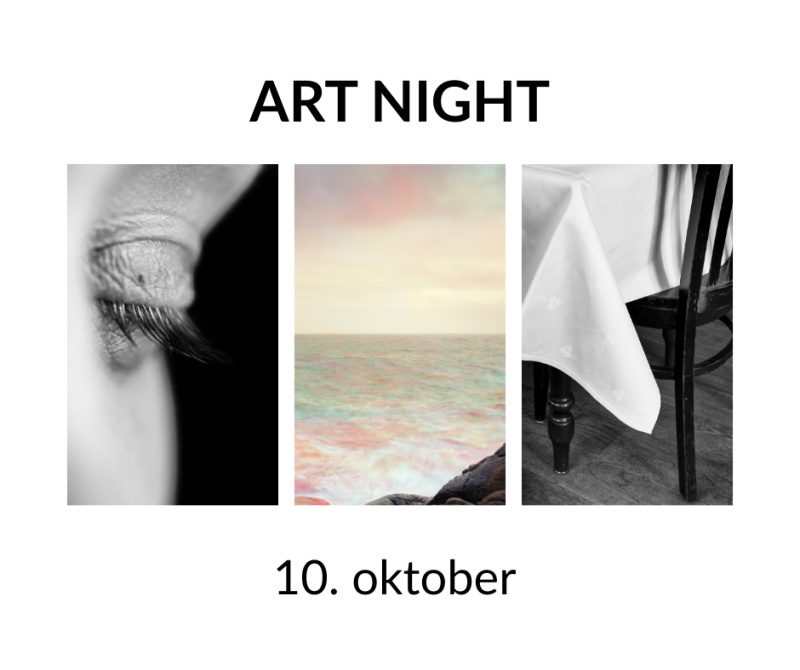 Bilde til saken ART NIGHT