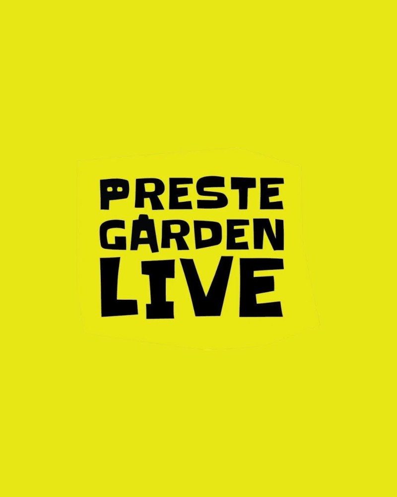 Bilde til saken KONSERT Next up nye stjerneskudd 