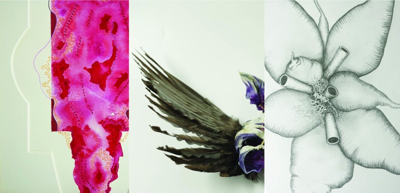 Bilde til saken MELLOM OSS - Årets første utstilling i Galleri Fjøset