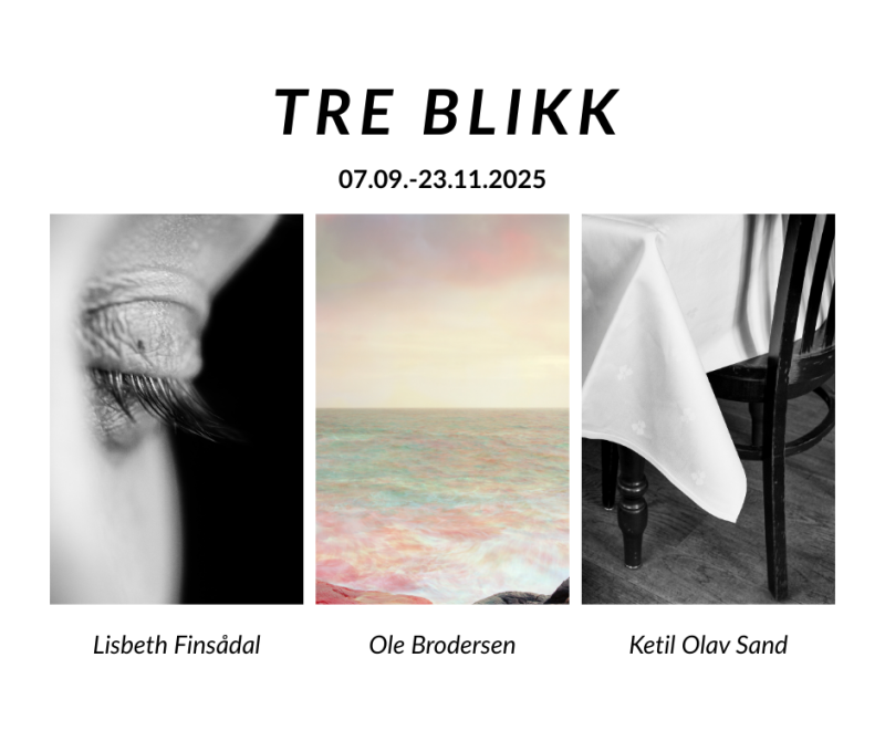 Bilde til saken Utstillingsåpning, TRE BLIKK - Ole Brodersen, Ketil Olav Sand og Lisbeth Finsådal 